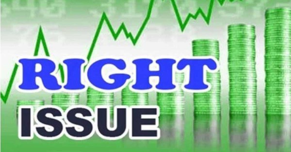 Seacoast Shipping Services: Board announced rights issue worth Rs 49 crore!