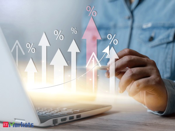 Nifty Top 10 Equal Weight index: Is it worth your money?