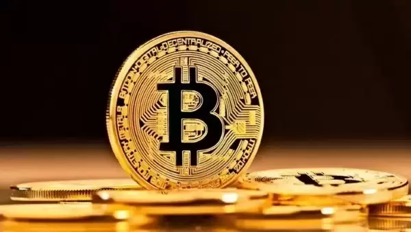 BlackRock’s IBIT Bitcoin holdings surge to 700K, says analyst
